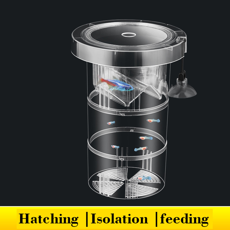 Aquarium Fish Betta - Floating Fish Breeding Isolation Box for
