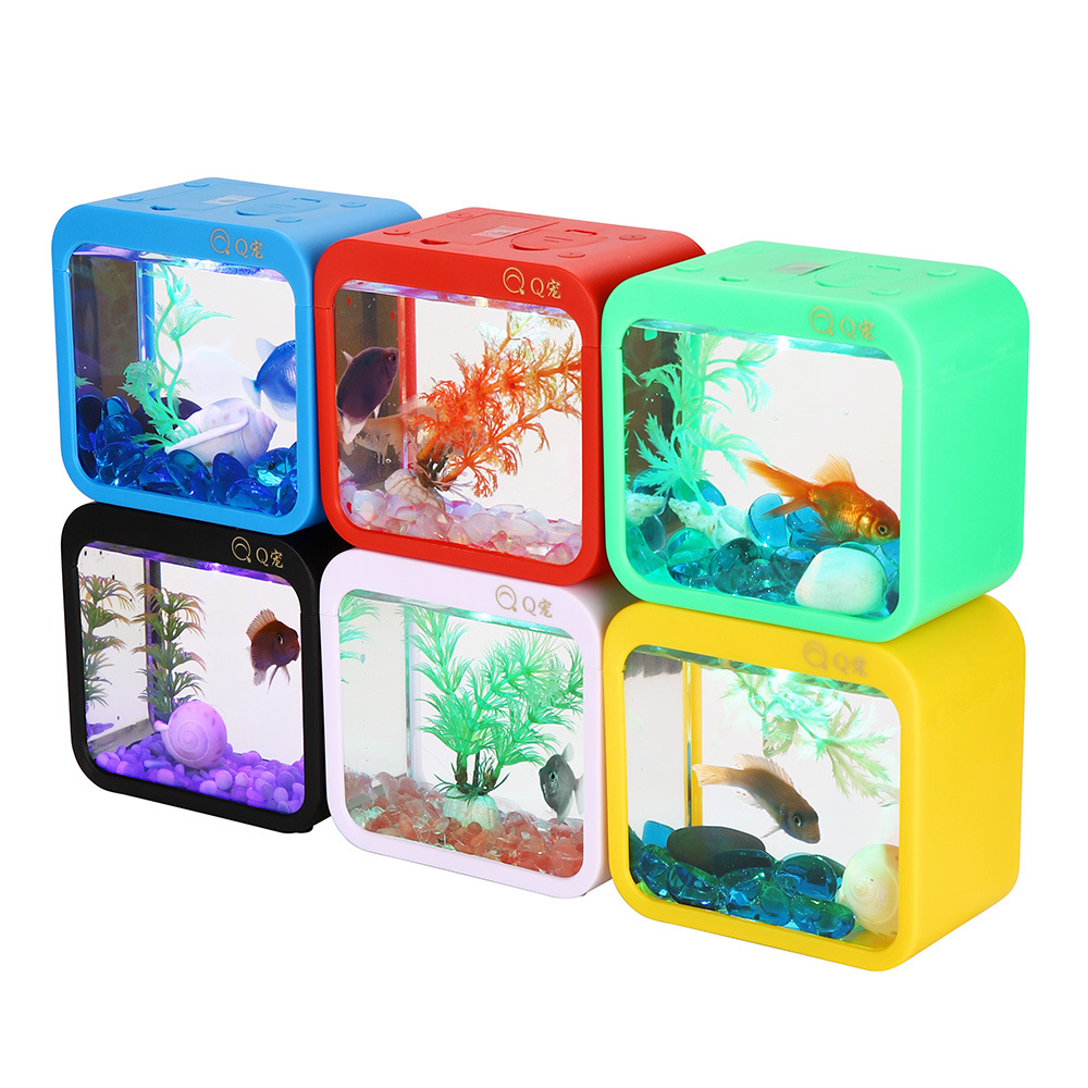 Colorful Creative Betta Box Wi - Aquarium Fish Betta 评论和价格
