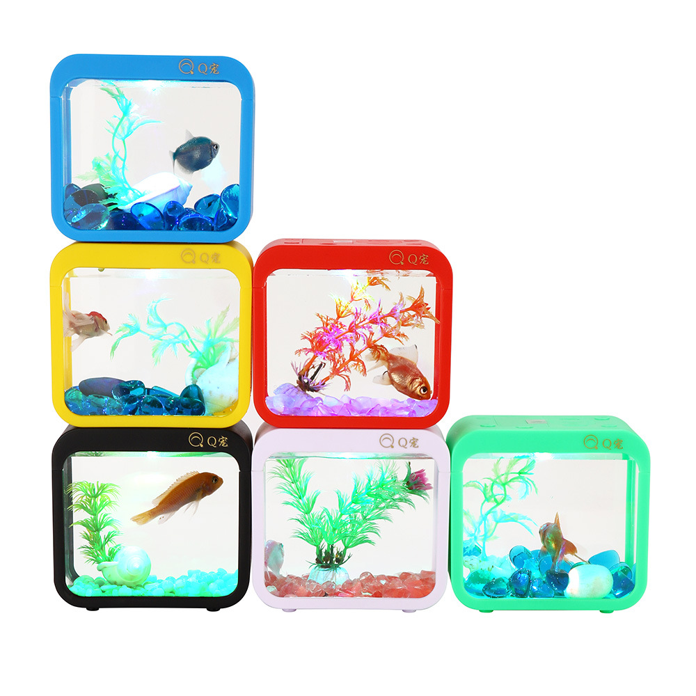 Colorful Creative Betta Box Wi - Aquarium Fish Betta 评论和价格
