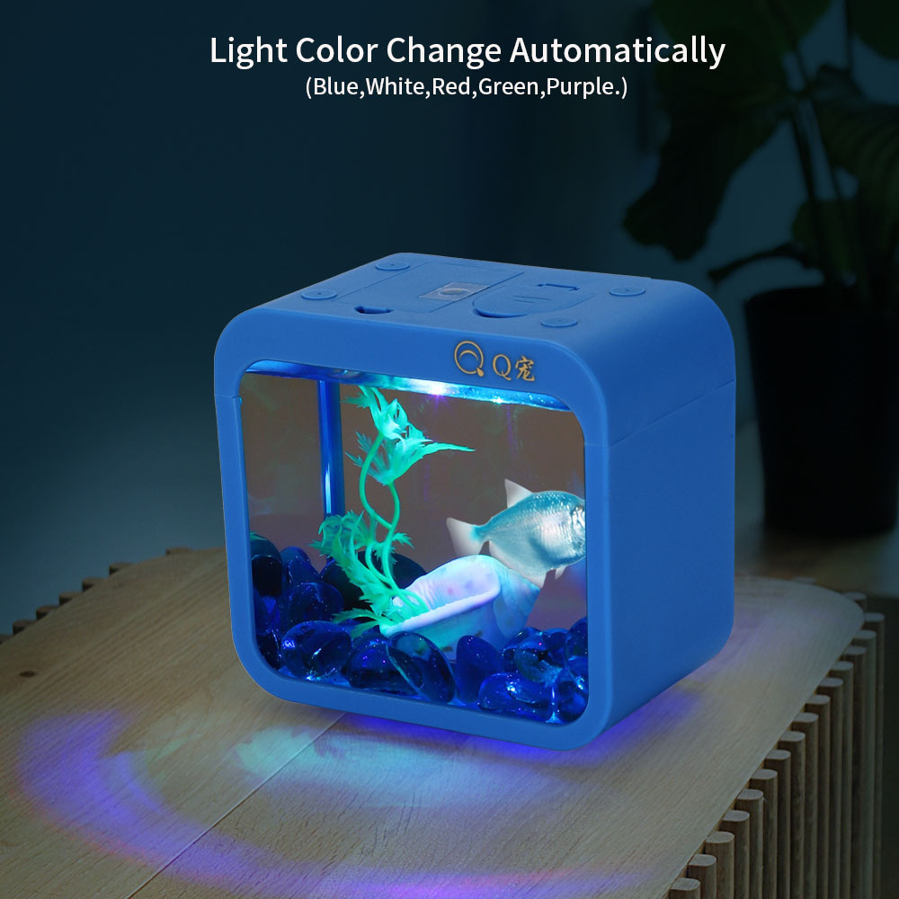 Colorful Creative Betta Box Wi - Aquarium Fish Betta 评论和价格