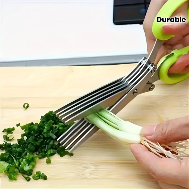 3 Blades Stainless Steel Kitch - Algae Scraper Blade 评论和价格