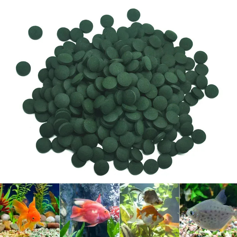 100-3000pcs High Purity Spirul - Aquarium Fish Holiday Food 评论和价格