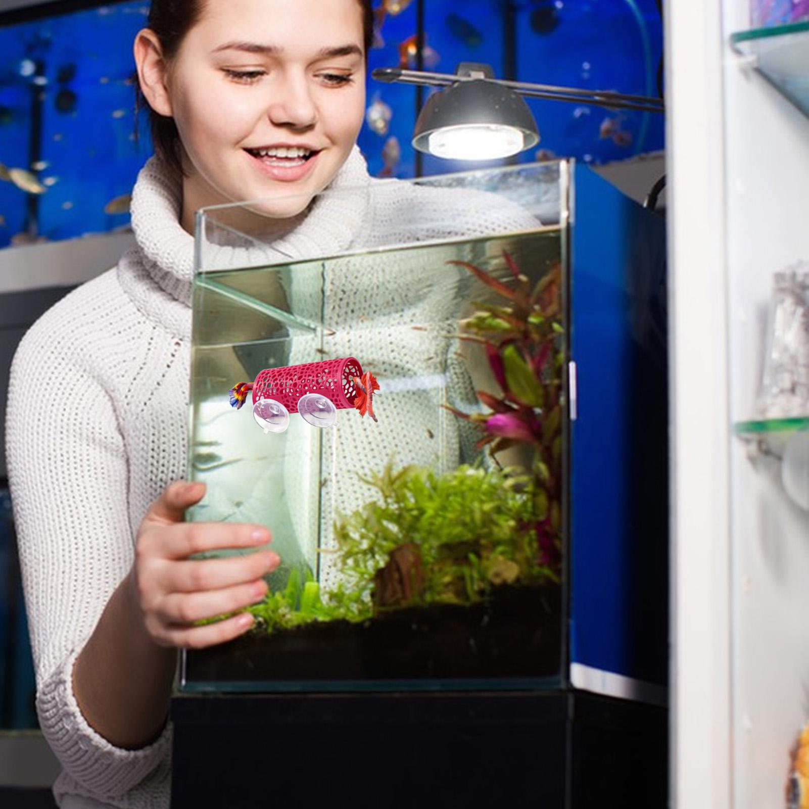 Betta Habitat Resting Shelter  - Aquarium Fish Betta 评论和价格