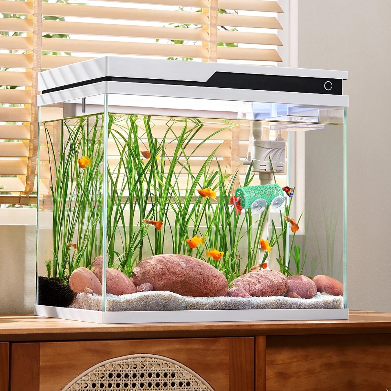 Betta Habitat Resting Shelter  - Aquarium Fish Betta 评论和价格