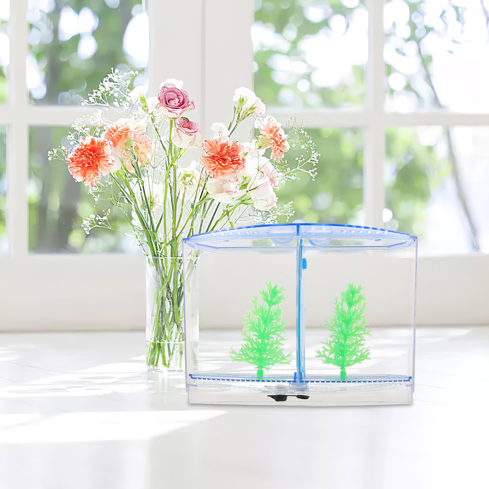 Fish Breeding Isolation Box Tr - Aquarium Fish Betta 评论和价格
