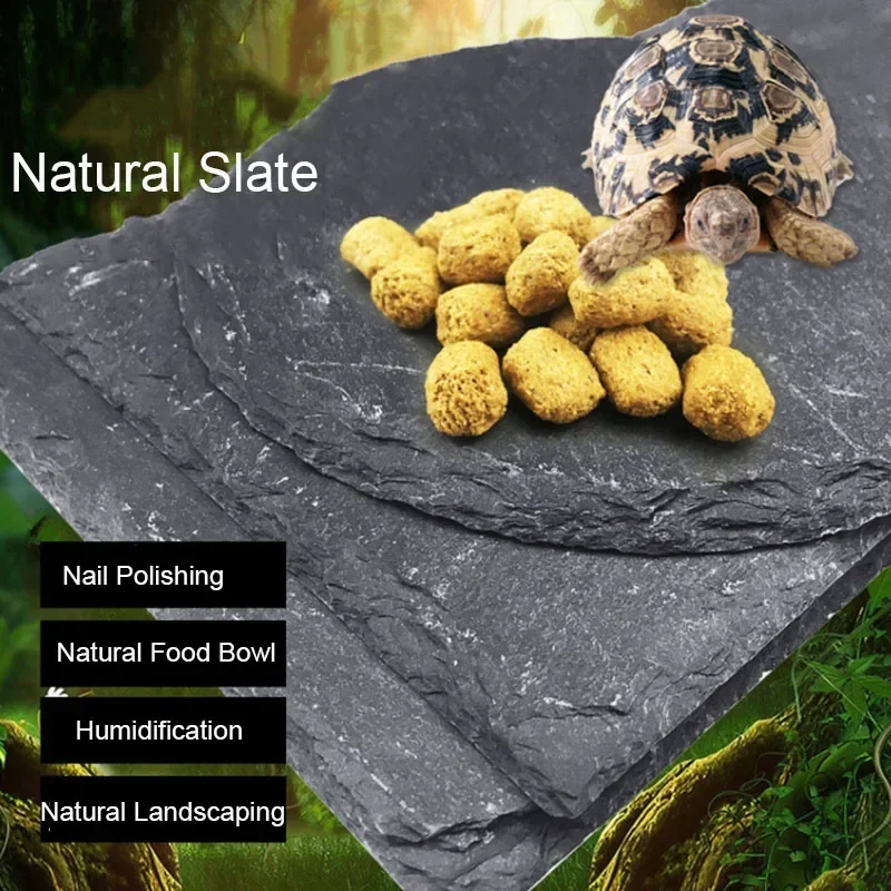 Natural Slate Aquarium Pet Rep - Aquarium Fish Pot 评论和价格