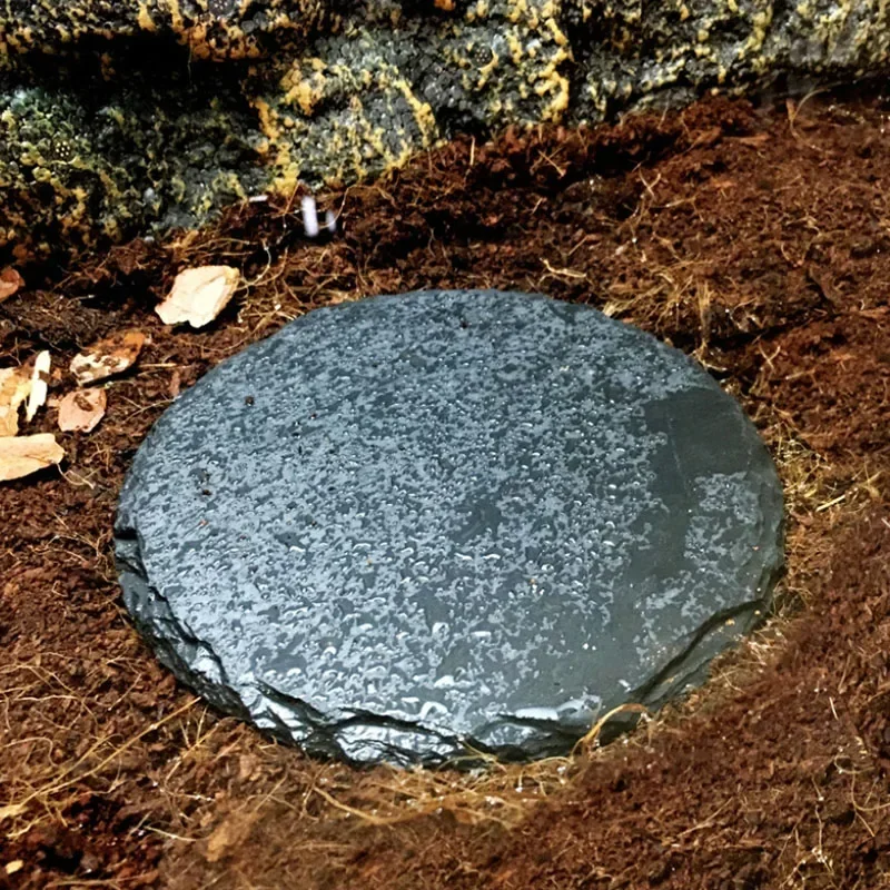 Natural Slate Aquarium Pet Rep - Aquarium Fish Pot 评论和价格