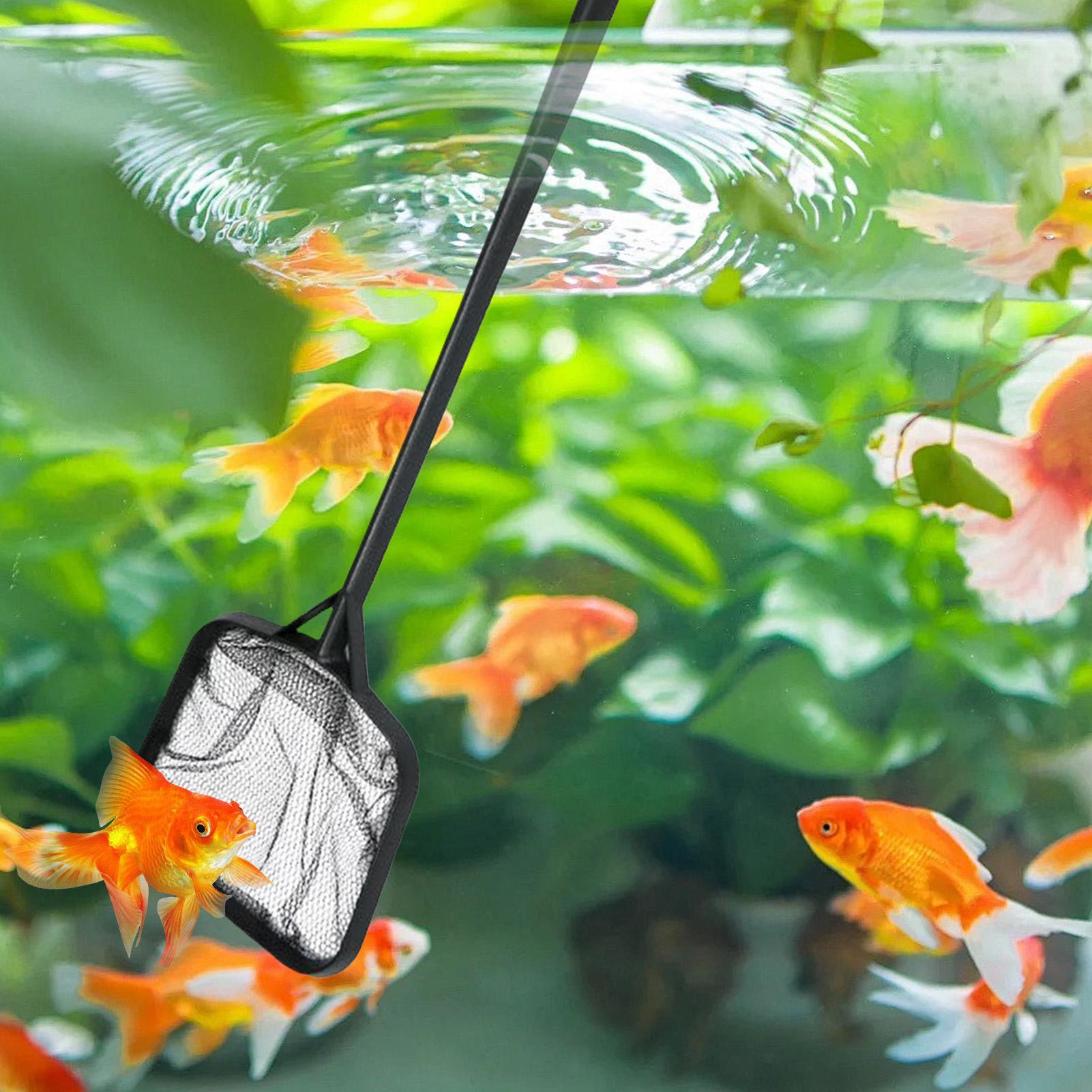 Pool Nets for Cleaning Portabl - Aquarium Fishing 评论和价格