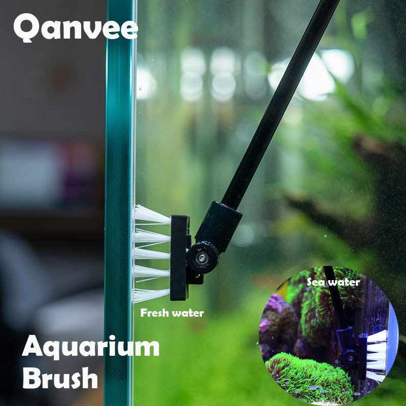 Fishing Cleaning Brush Plant T - Algae Scraper Blade 评论和价格