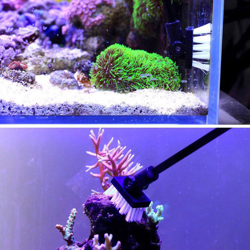 Fishing Cleaning Brush Plant T - Algae Scraper Blade 评论和价格