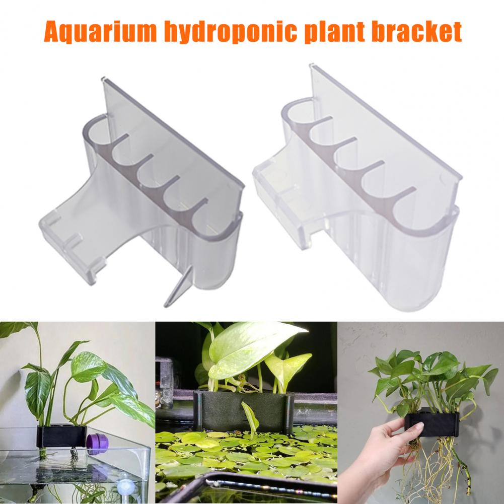 4.5/6.5cm Aquarium Plant Holde - Aquarium Fish Pot 评论和价格