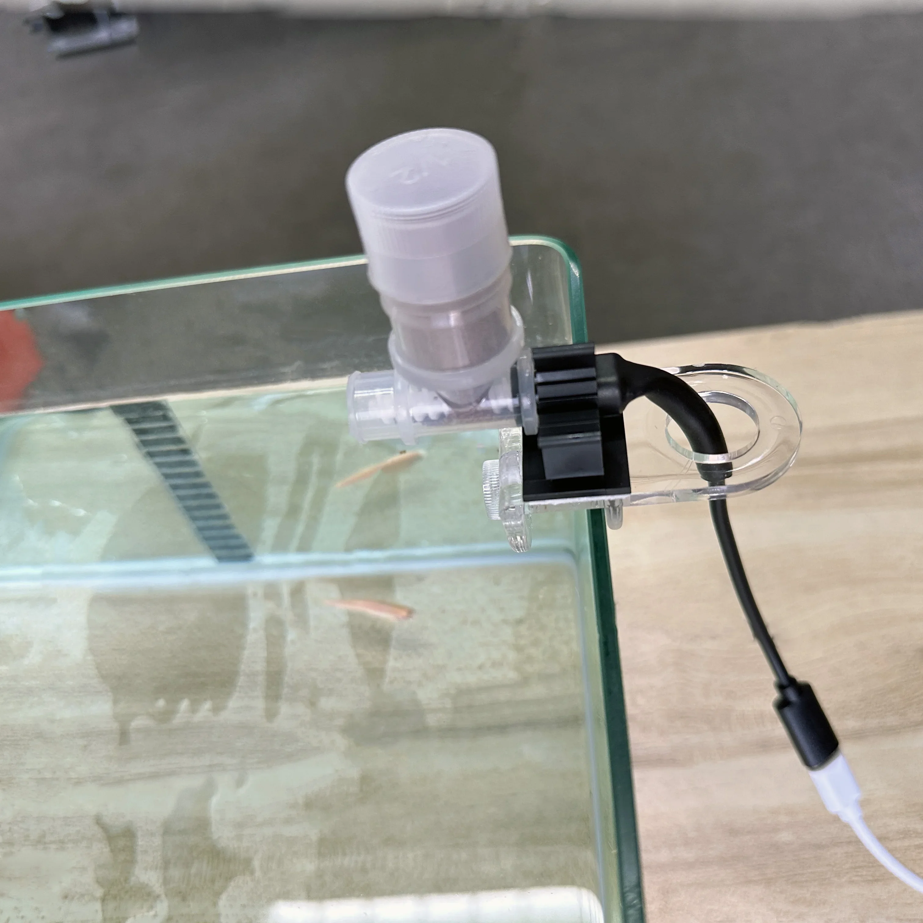 Best Automatic Fish Feeder - W - Aquarium Fish Holiday Food 评论和价格