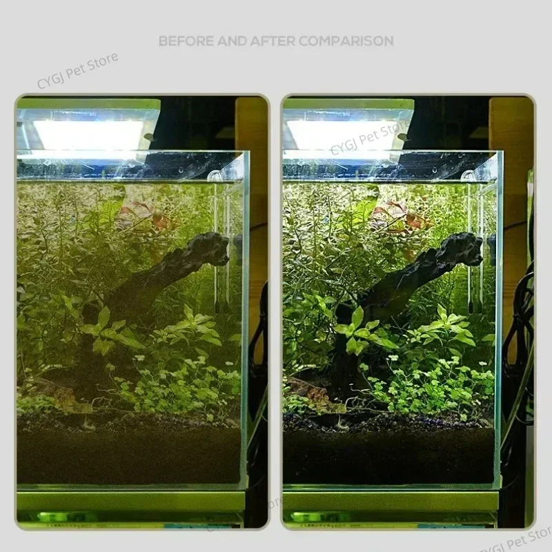 Fish Tank Cleaning Tool Flat S - Algae Scraper Blade 评论和价格