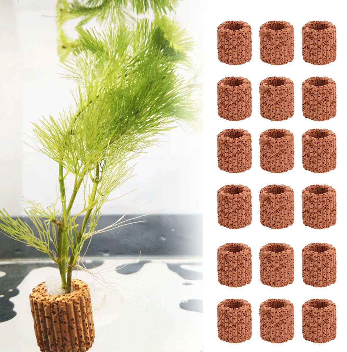 10/20Pcs Aquatic Water Plant F - Aquarium Fish Pot 评论和价格