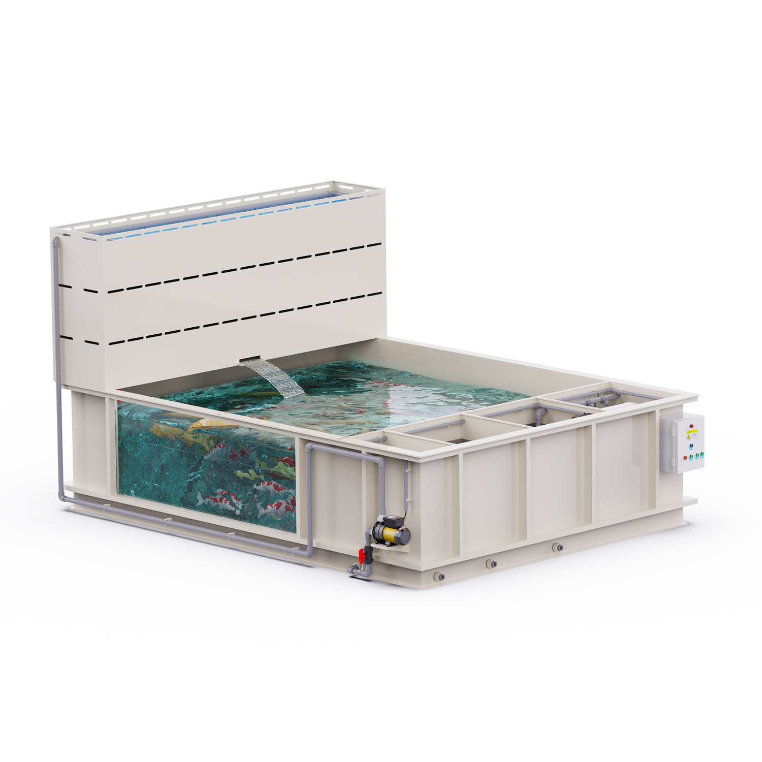 Factory Price Aquarium Fish ta - Aquarium Fish And Price 评论和价格