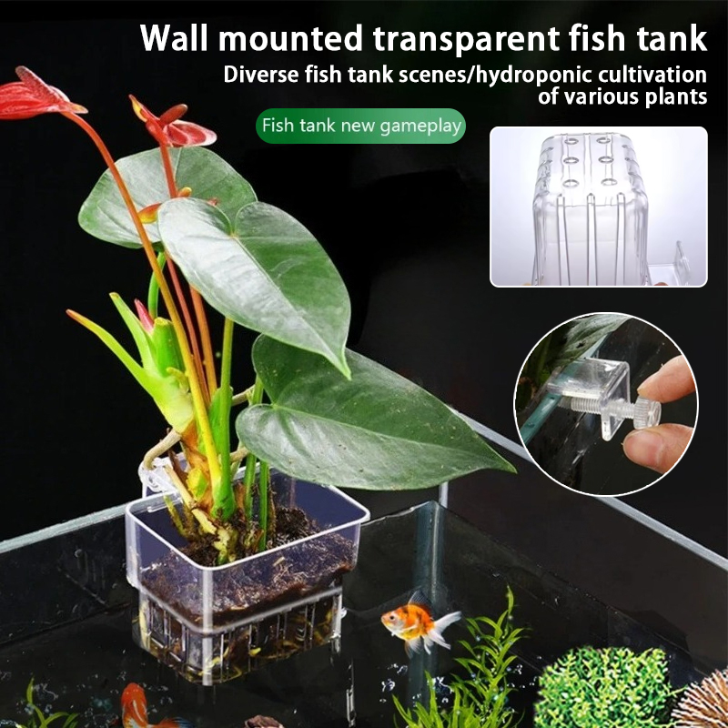 Aquarium Hanging Planter Cups  - Aquarium Fish Pot 评论和价格