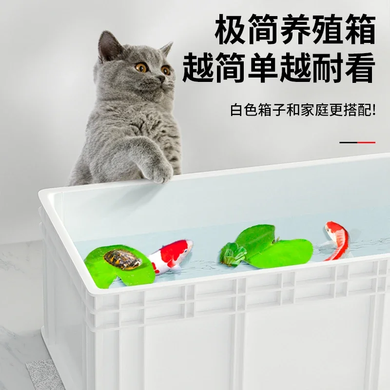 A  Turtle tank big turtle prof - Fish Co Aquarium 评论和价格