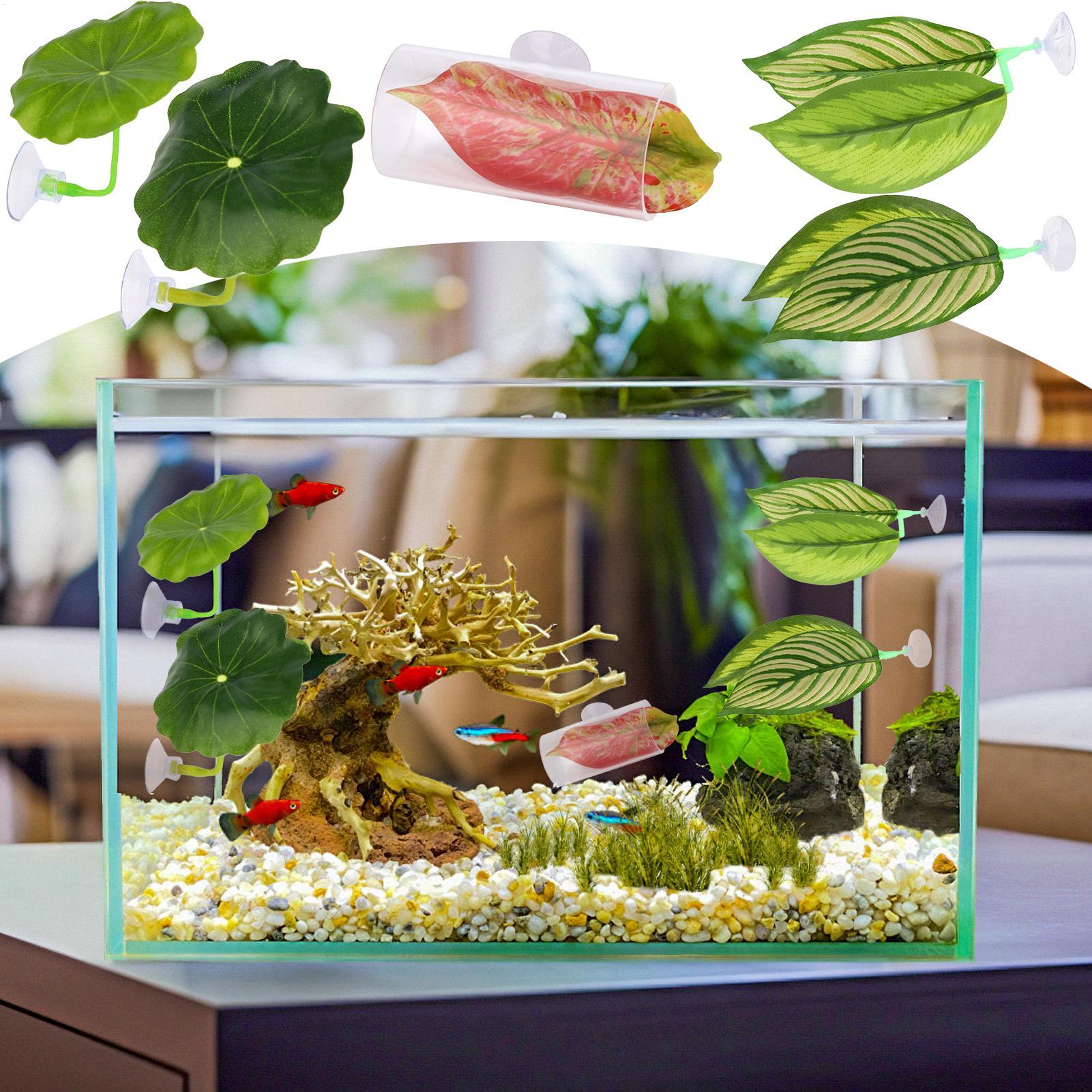 Betta Fish Hammock 5 Pieces Ad - Aquarium Fish Betta 评论和价格