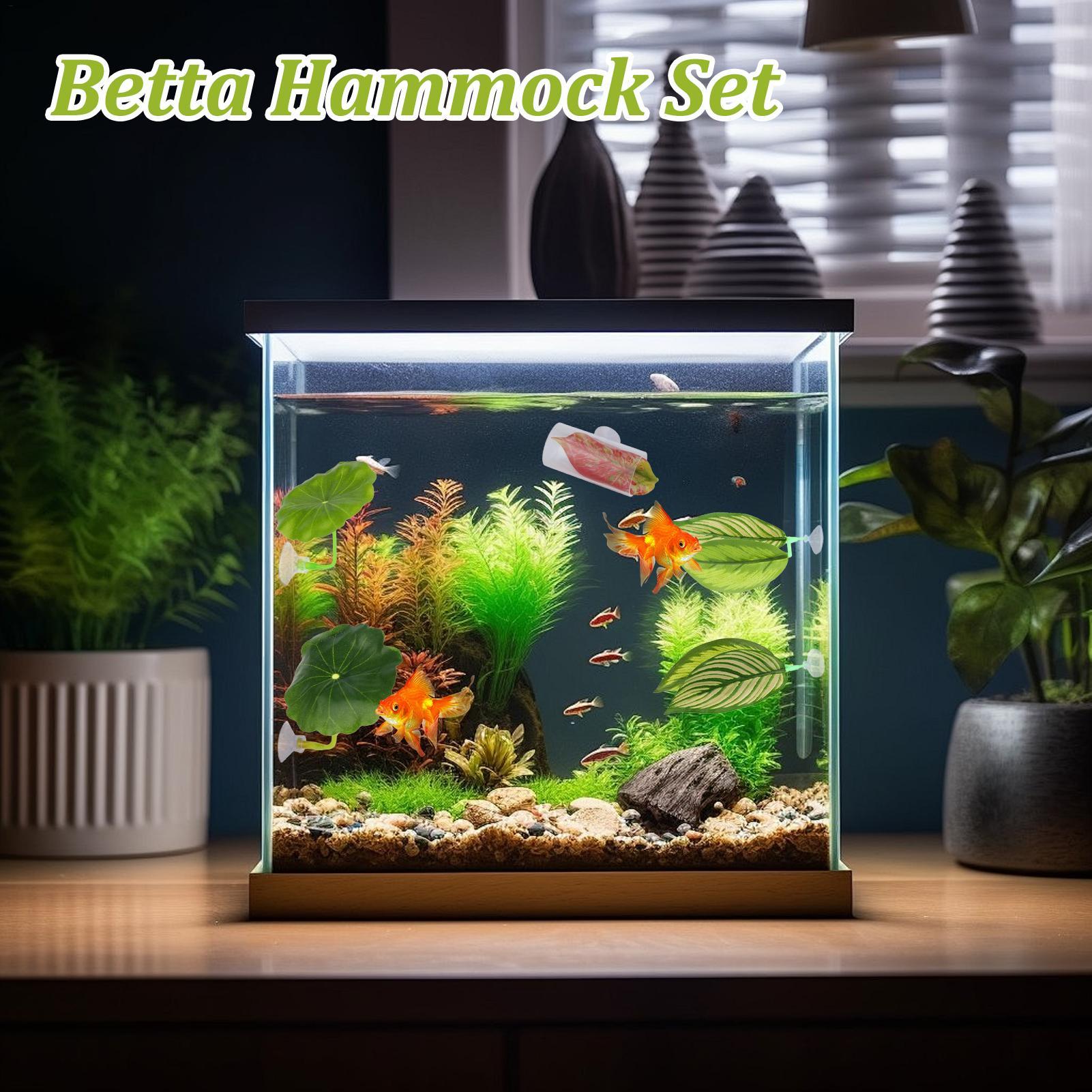 Betta Fish Hammock 5 Pieces Ad - Aquarium Fish Betta 评论和价格