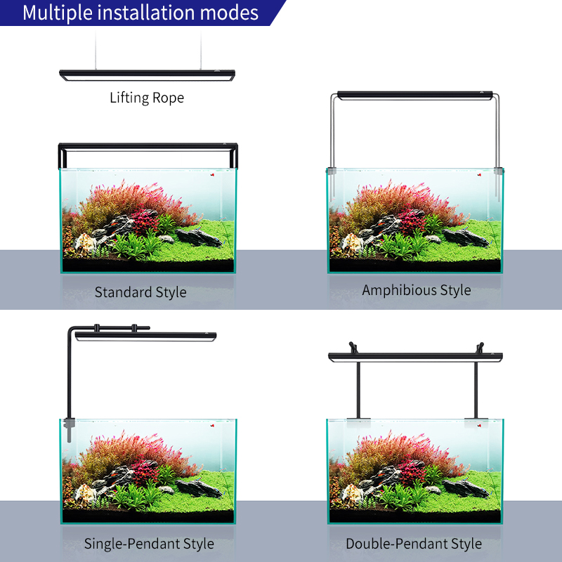ZXY WEEKAQUA V300SE Best Price - Aquarium Fish And Price 评论和价格