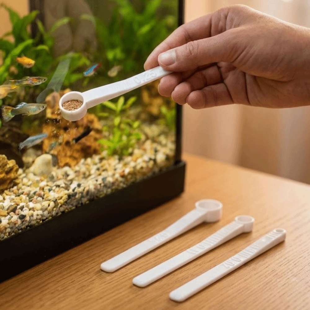 3Pcs Multi-size Fish Food Meas - Aquarium Fish Holiday Food 评论和价格