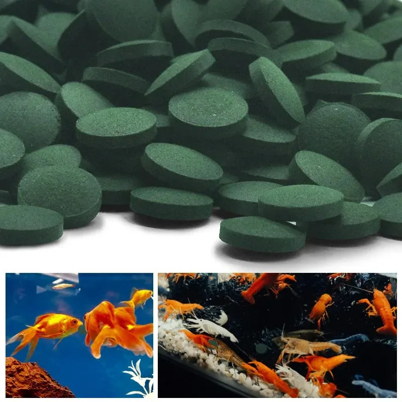 50/100/300/500pcs Spirulina Ta - Aquarium Fish Holiday Food 评论和价格