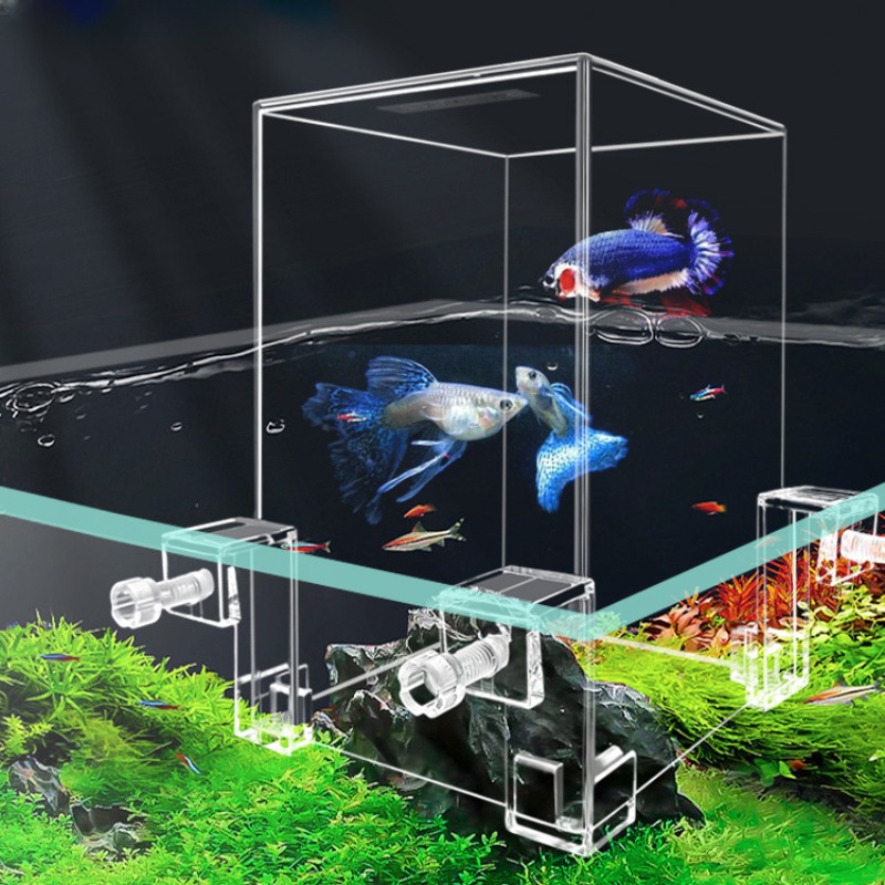 Creative Aquarium Tanks Negati - Aquarium Fish Pot 评论和价格