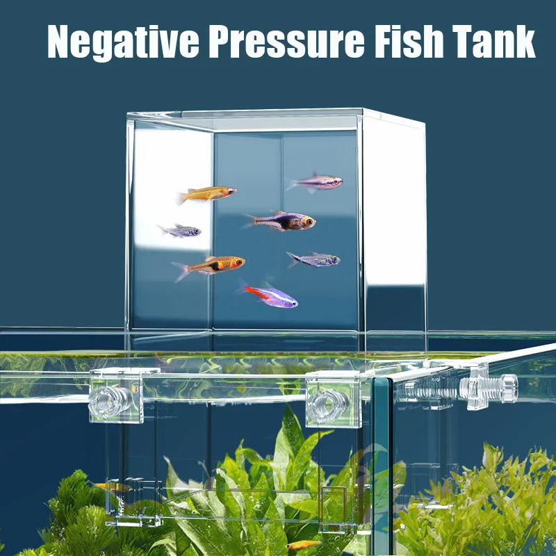 Creative Aquarium Tanks Negati - Aquarium Fish Pot 评论和价格