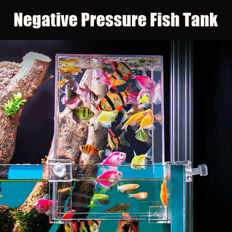 Creative Aquarium Tanks Negati - Aquarium Fish Pot 评论和价格