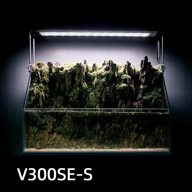 V300SE Best Price 30 40cm Fres - Aquarium Fish And Price 评论和价格