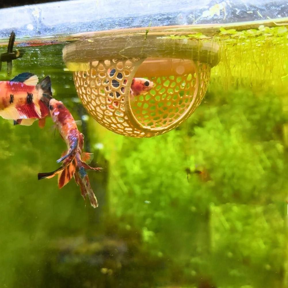 Aquarium Floating Cave Fish Sh - Aquarium Fish Betta 评论和价格