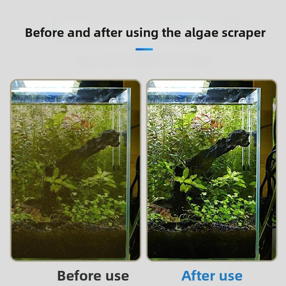 Dual Purpose Aquarium Algae Sc - Algae Scraper Blade 评论和价格