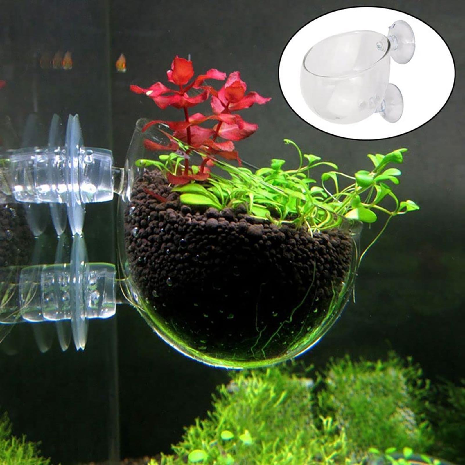 Aquatic Plant Pot Clear Acryli - Aquarium Fish Pot 评论和价格