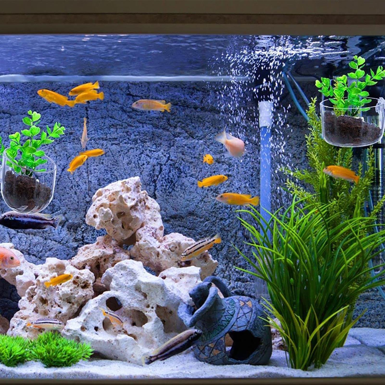 Aquatic Plant Pot Clear Acryli - Aquarium Fish Pot 评论和价格
