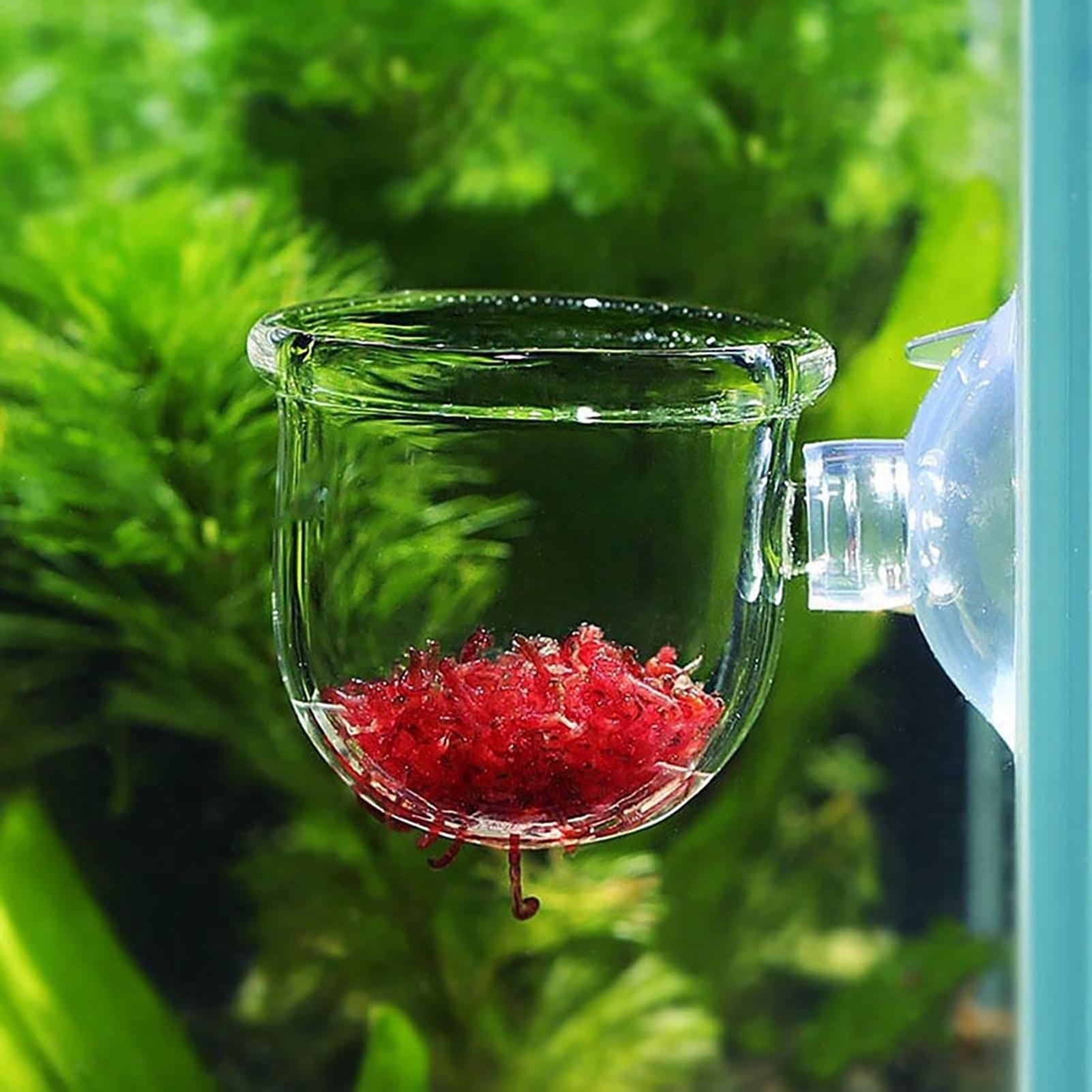 Aquatic Plant Pot Clear Acryli - Aquarium Fish Pot 评论和价格