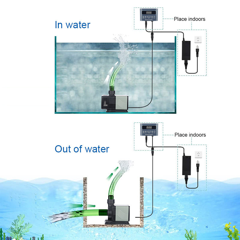 Factory Direct Wholesaler Pric - Aquarium Fish And Price 评论和价格
