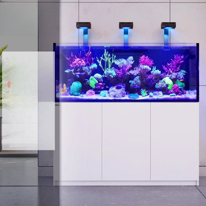 2026 Hot Selling Wholesale Pri - Aquarium Fish And Price 评论和价格