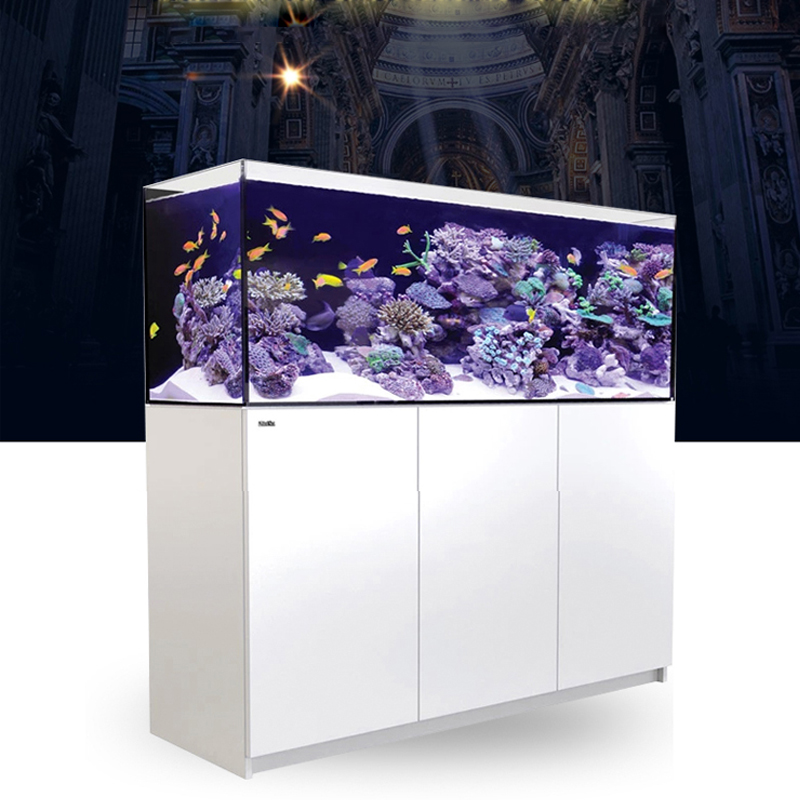 2026 Hot Selling Wholesale Pri - Aquarium Fish And Price 评论和价格