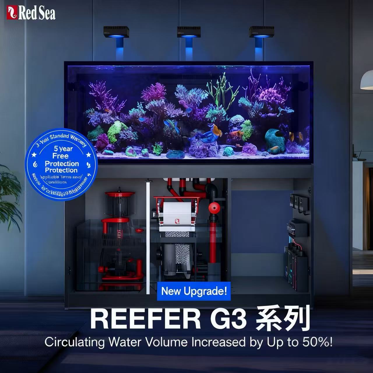 2026 Hot Selling Wholesale Pri - Aquarium Fish And Price 评论和价格