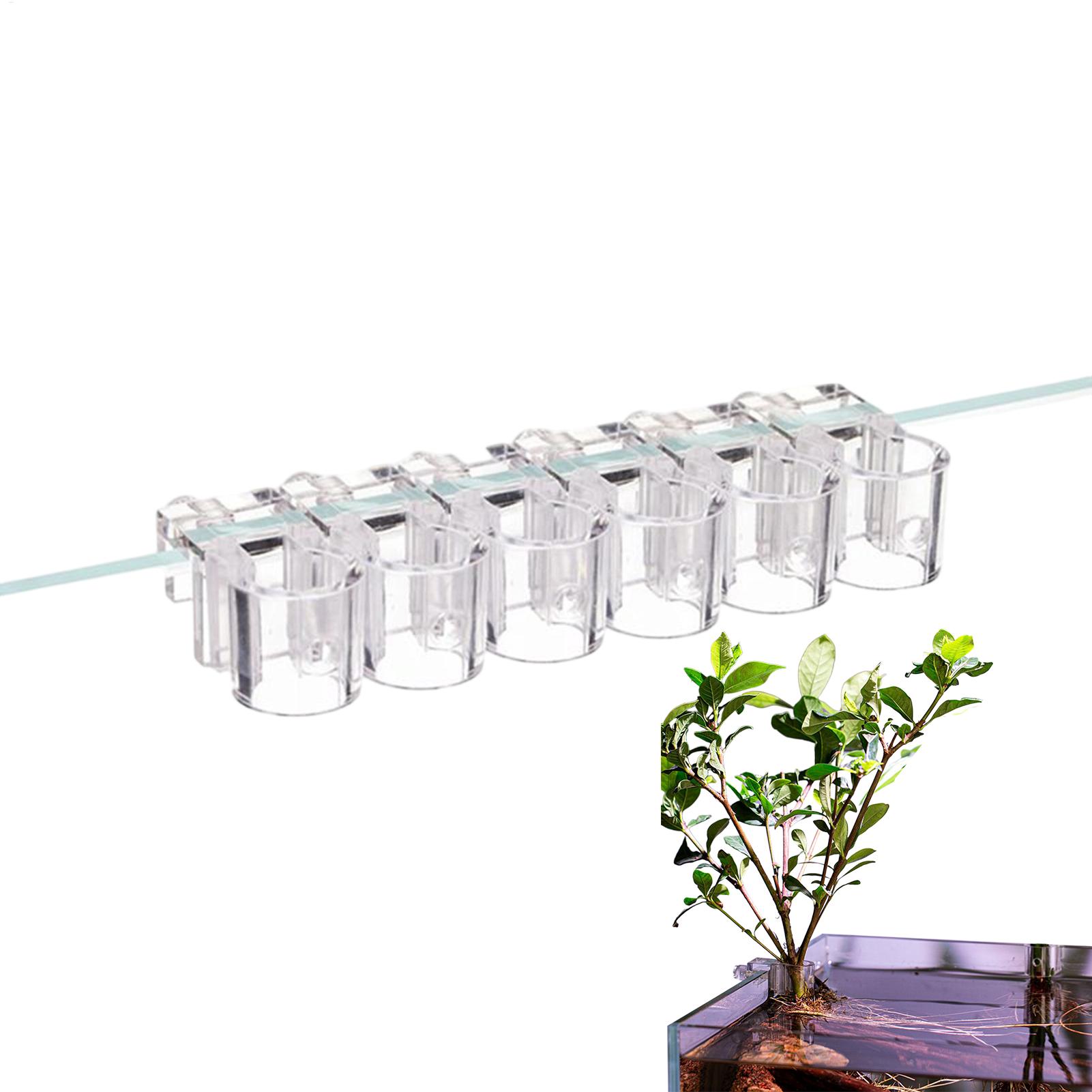 Aquarium Plant Basket Transpar - Aquarium Fish Pot 评论和价格