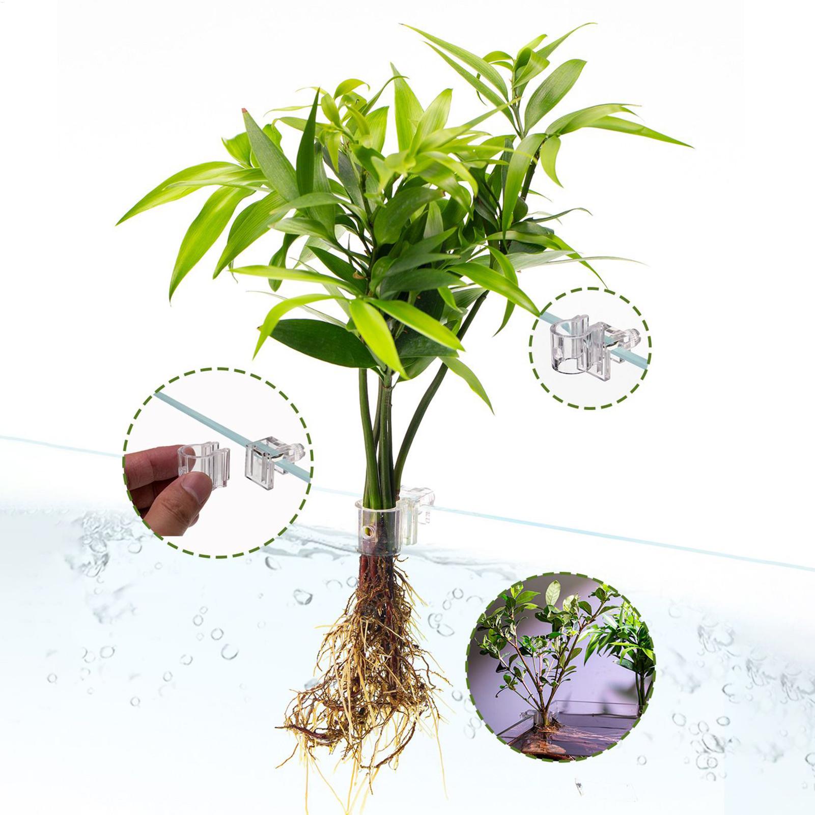 Aquarium Plant Basket Transpar - Aquarium Fish Pot 评论和价格