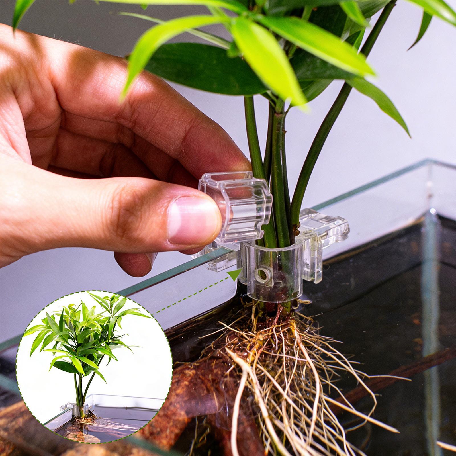 Aquarium Plant Basket Transpar - Aquarium Fish Pot 评论和价格
