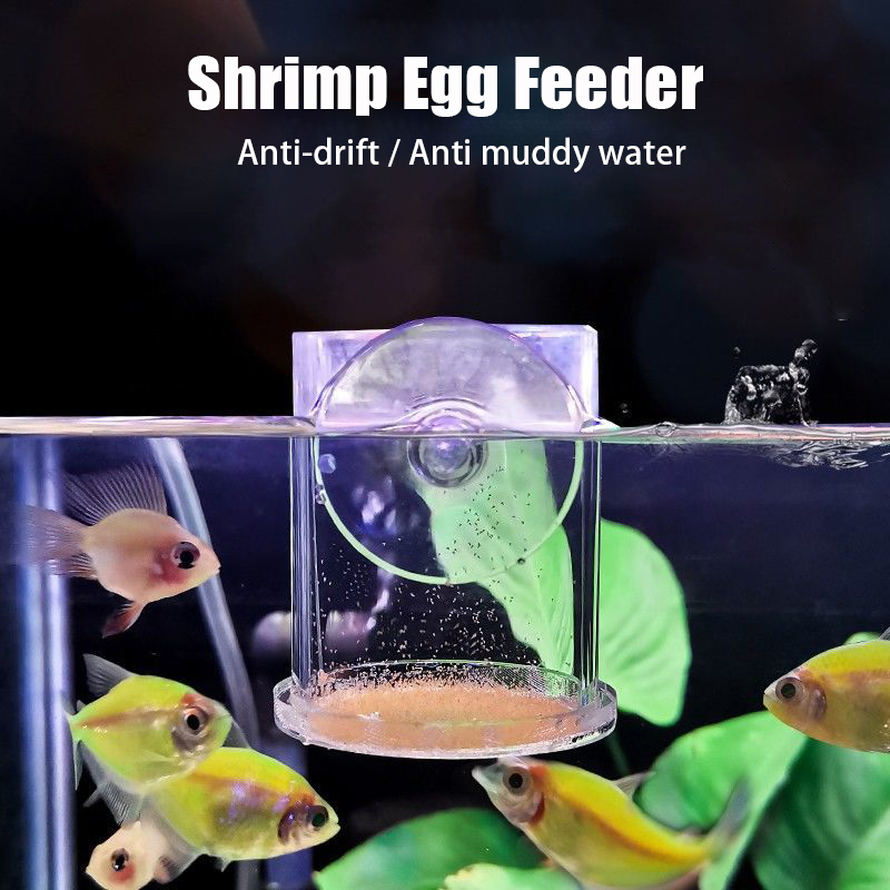 Transparent Arcylic Aquarium F - Aquarium Fish Holiday Food 评论和价格