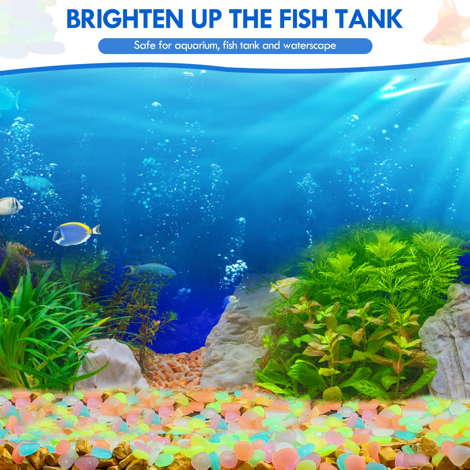 100Pcs Glow in the Dark Garden - Aquarium Fishing 评论和价格