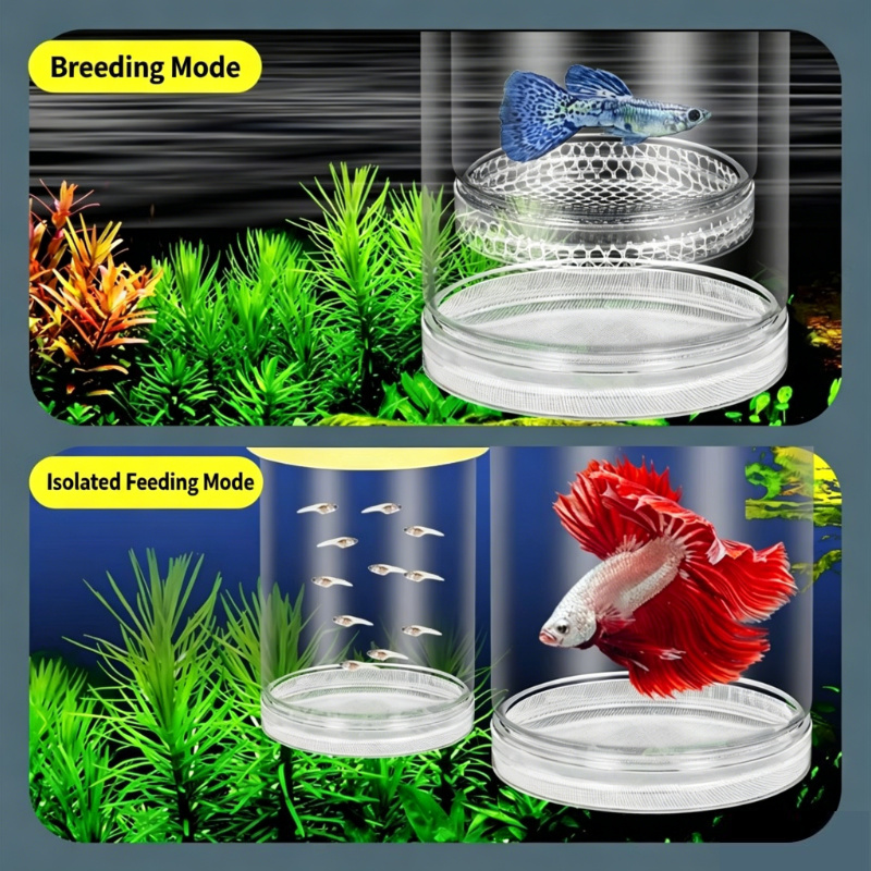 Transparent Floating Aquarium  - Aquarium Fish Betta 评论和价格