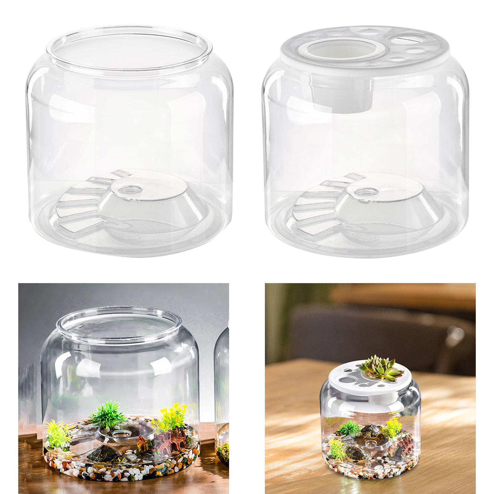 Turtle Tank Tabletop Reptile H - Aquarium Fish Drawing 评论和价格