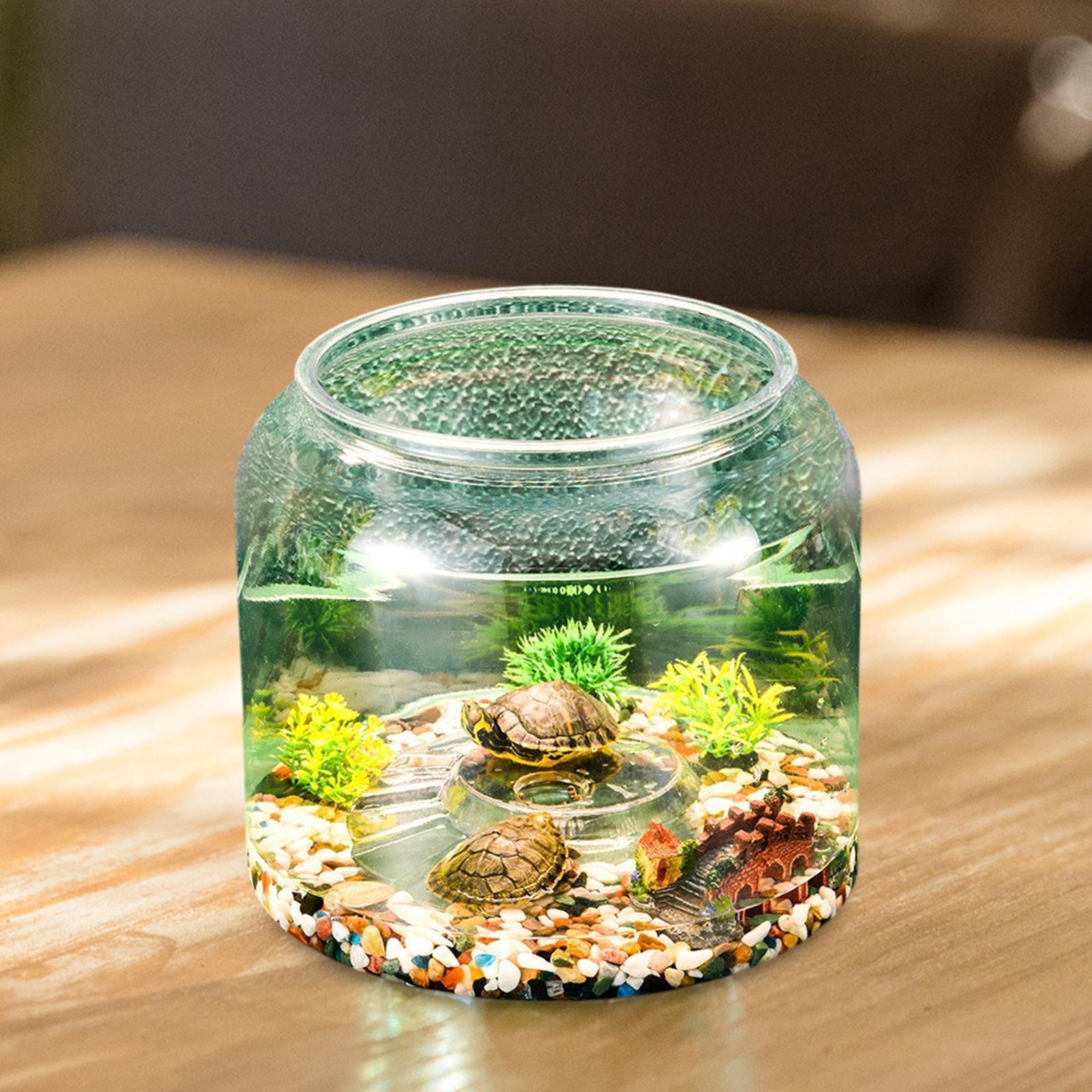 Turtle Tank Tabletop Reptile H - Aquarium Fish Drawing 评论和价格