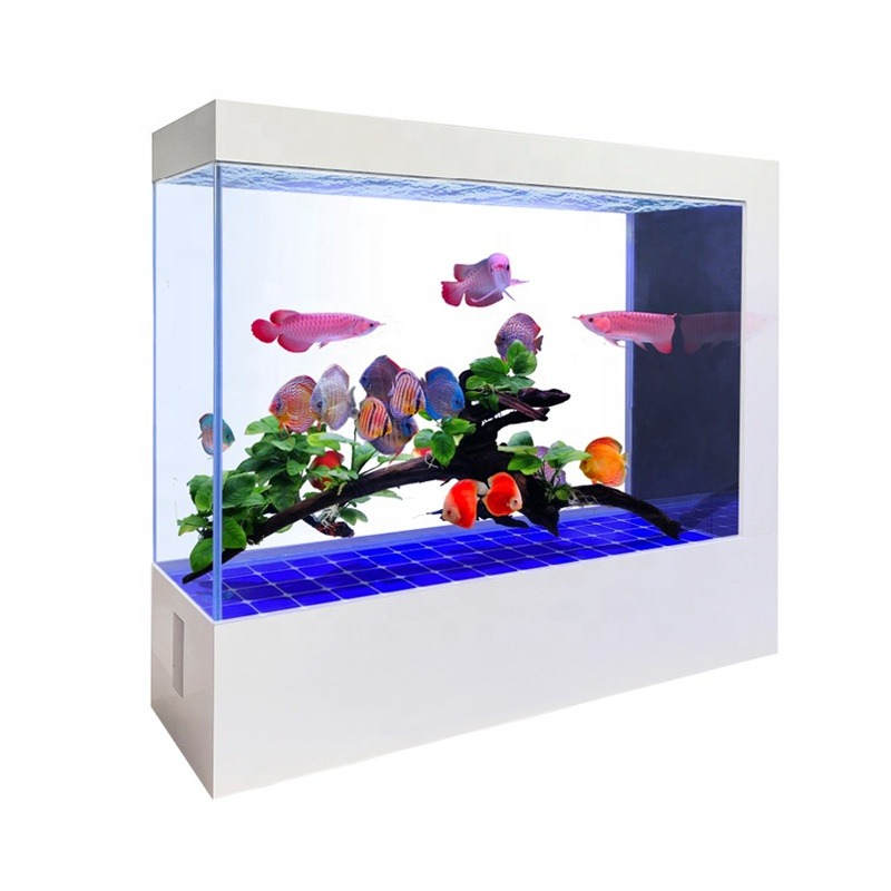 Wholesale Customization Latest - Aquarium Fish And Price 评论和价格
