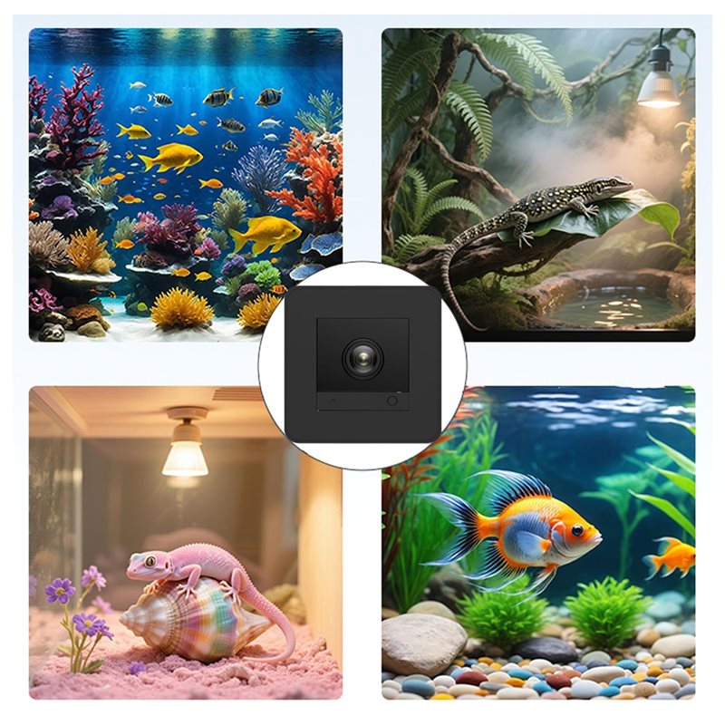 【Price Drop !!】Fish Tank Camer - Aquarium Fish And Price 评论和价格