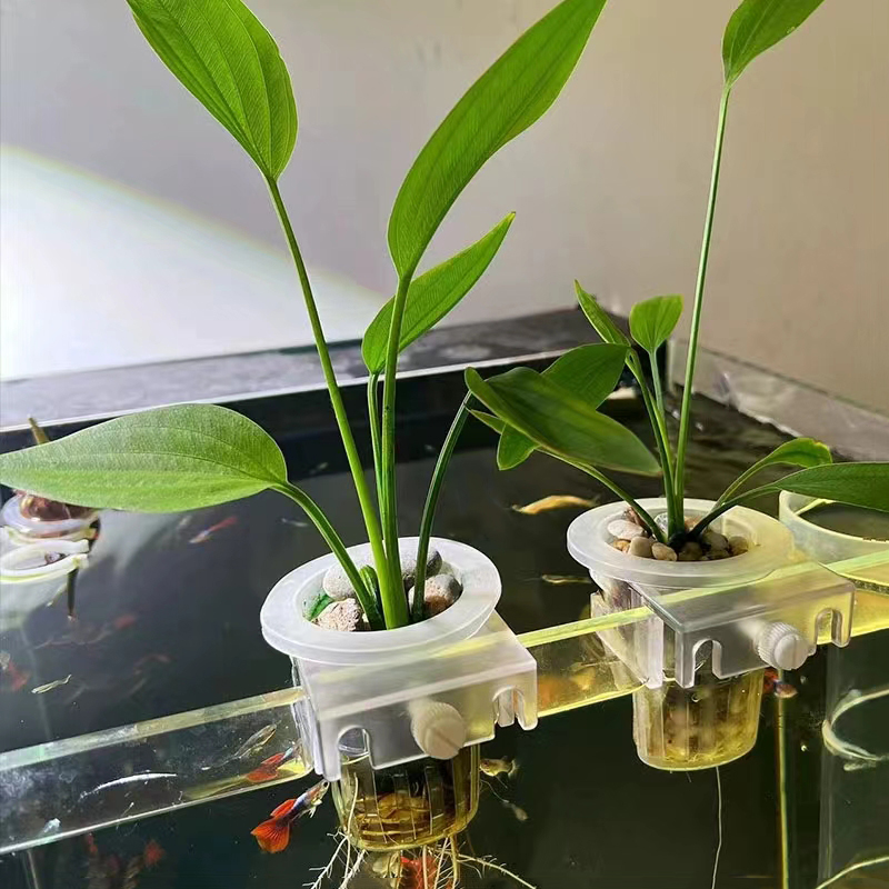 Aquarium Planting Basket Hydro - Aquarium Fish Pot 评论和价格